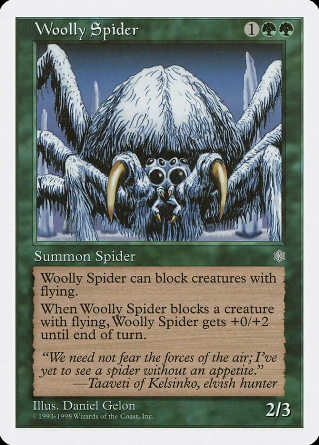 Woolly Spider image