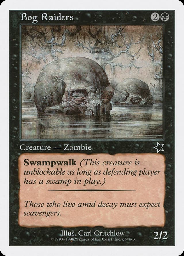 Bog Raiders image