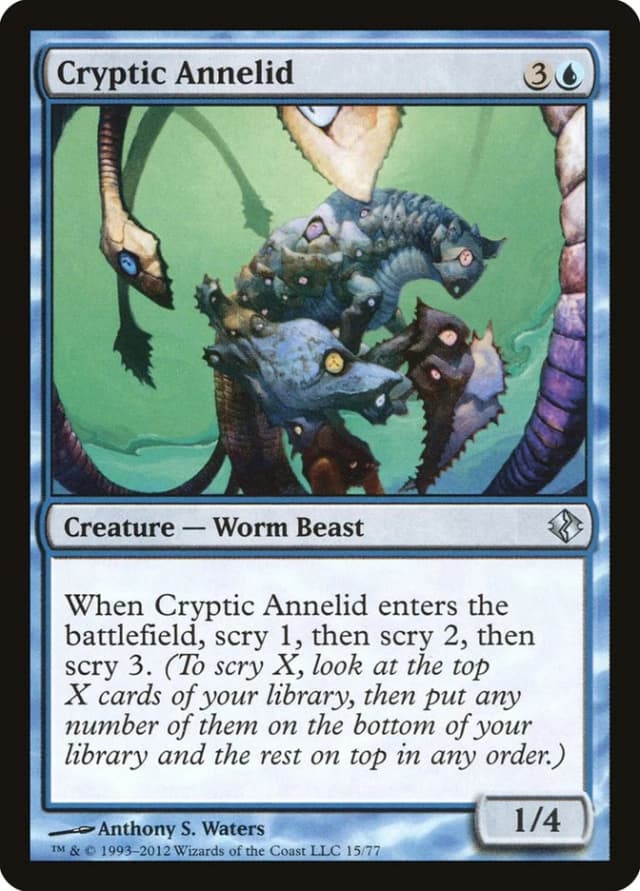 Cryptic Annelid image
