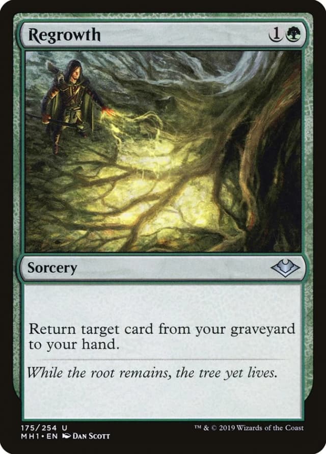 Regrowth image