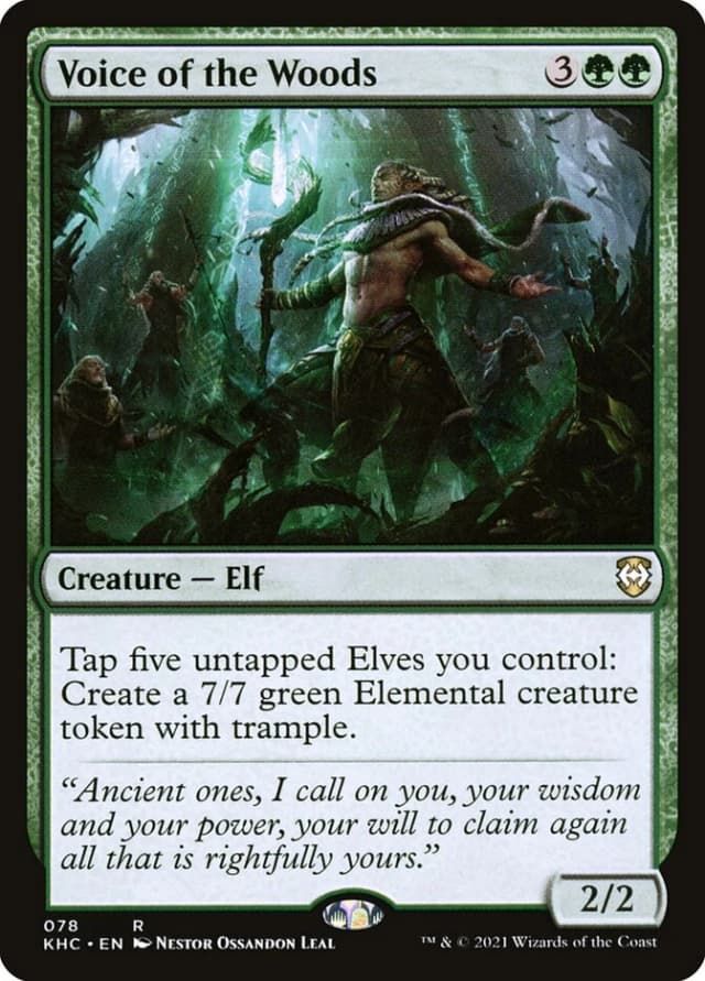 Voice of the Woods image