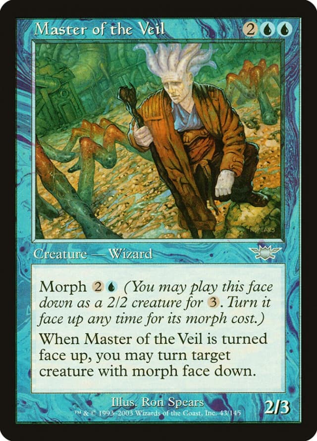Master of the Veil image
