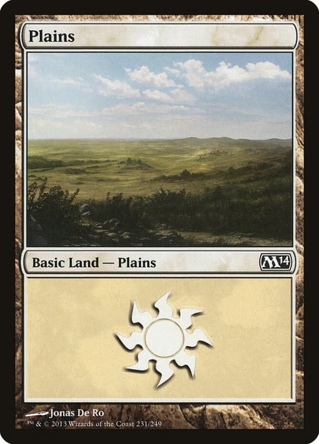 Plains image