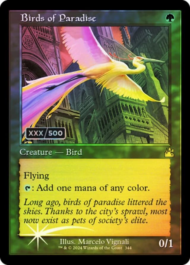 Birds of Paradise image