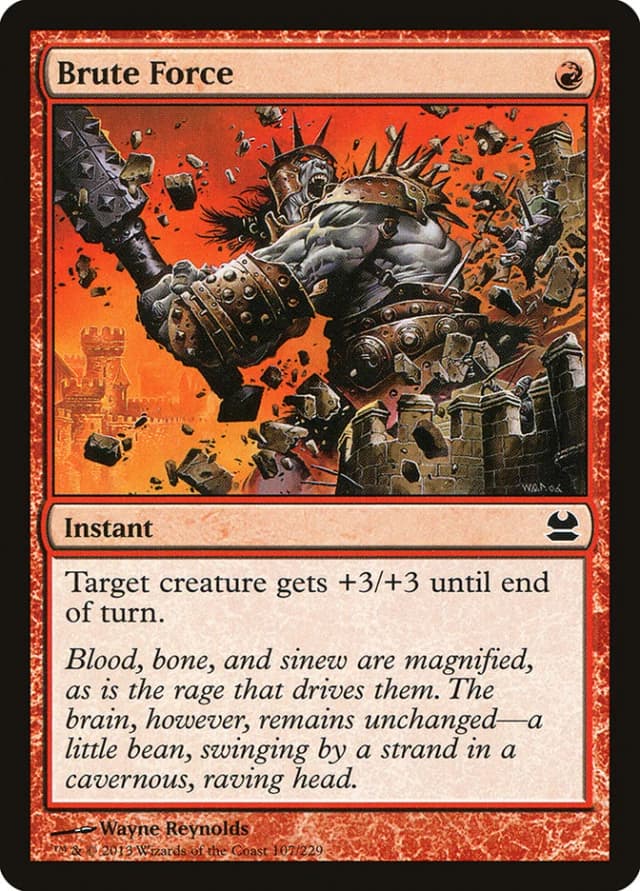 Brute Force image