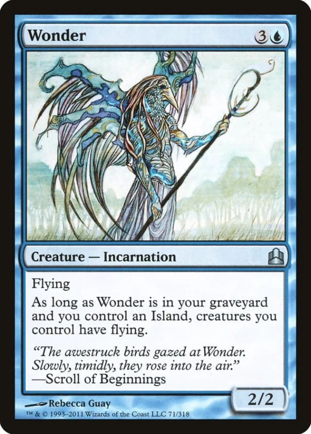Wonder image
