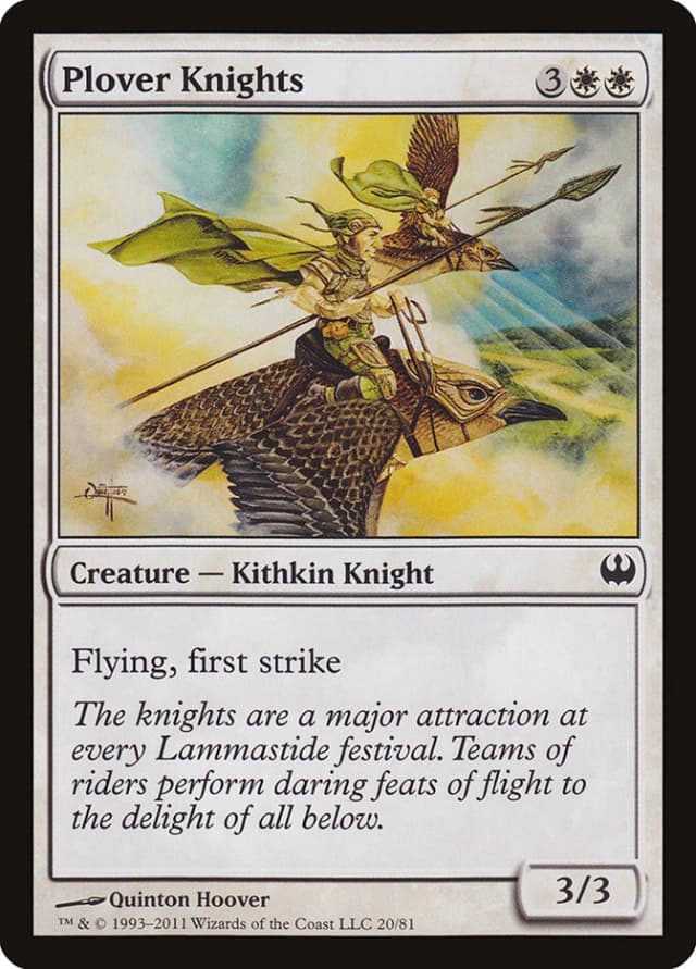 Plover Knights image