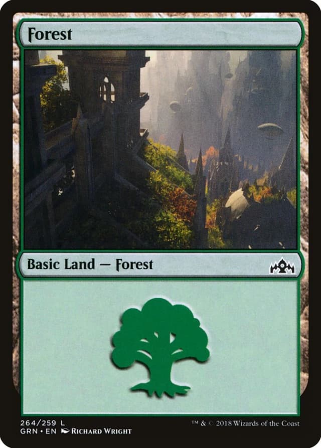 Forest image