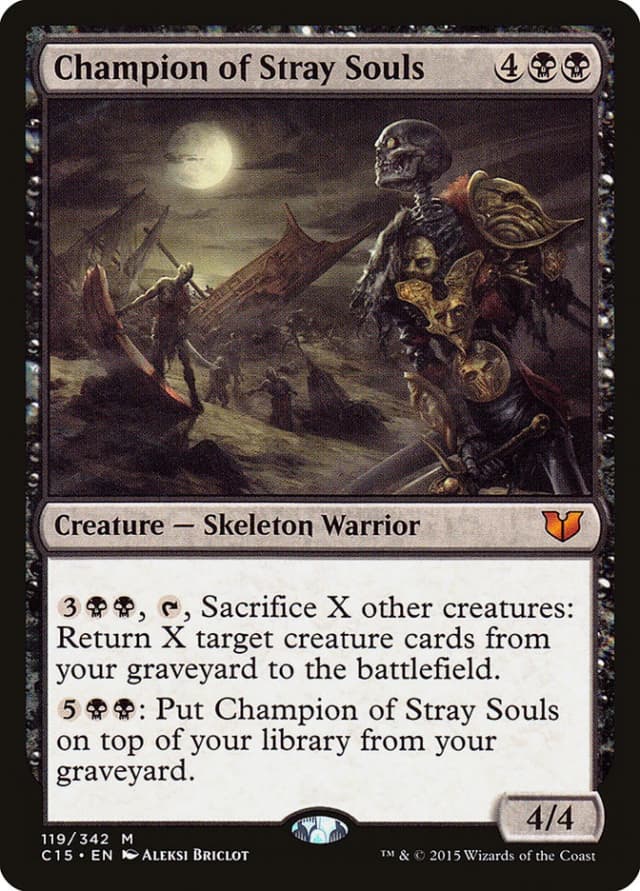 Champion of Stray Souls image