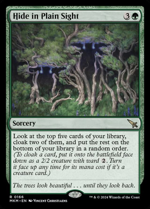 Hide in Plain Sight image