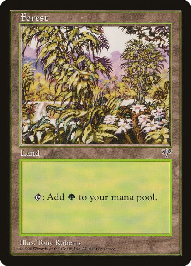 Forest image