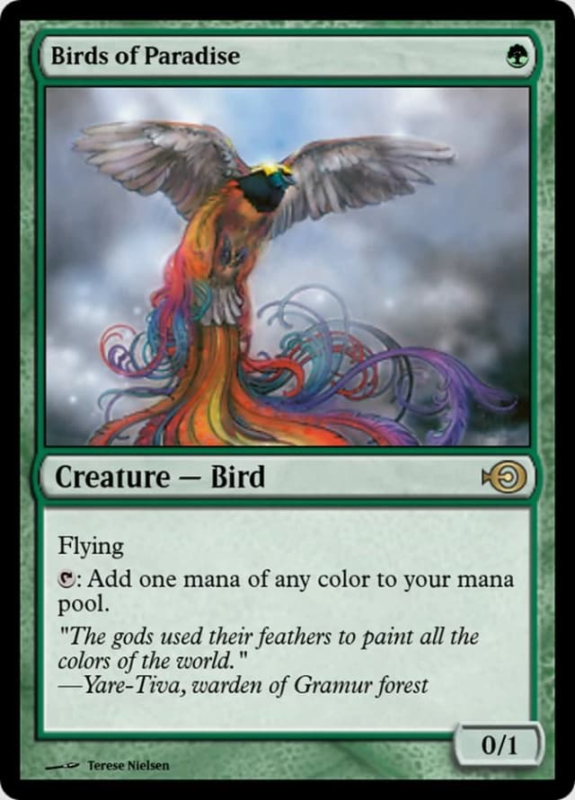 Birds of Paradise image