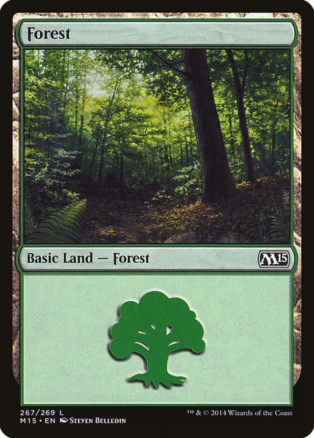 Forest image