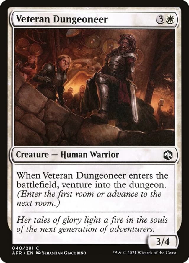 Veteran Dungeoneer image