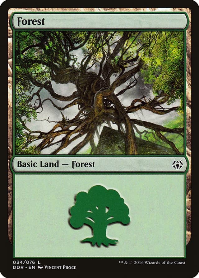 Forest image