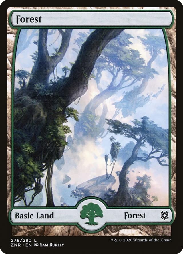 Forest image