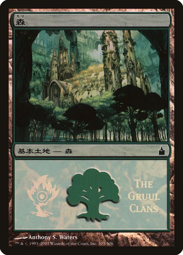 Forest image