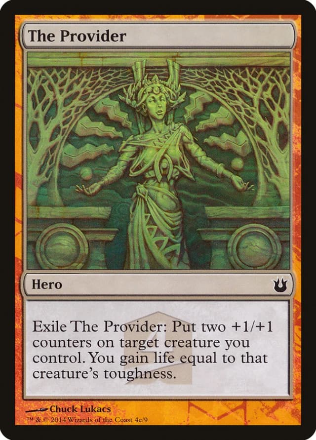 The Provider image