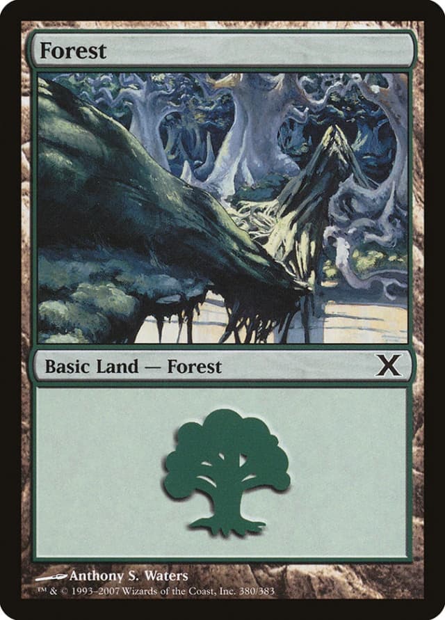 Forest image