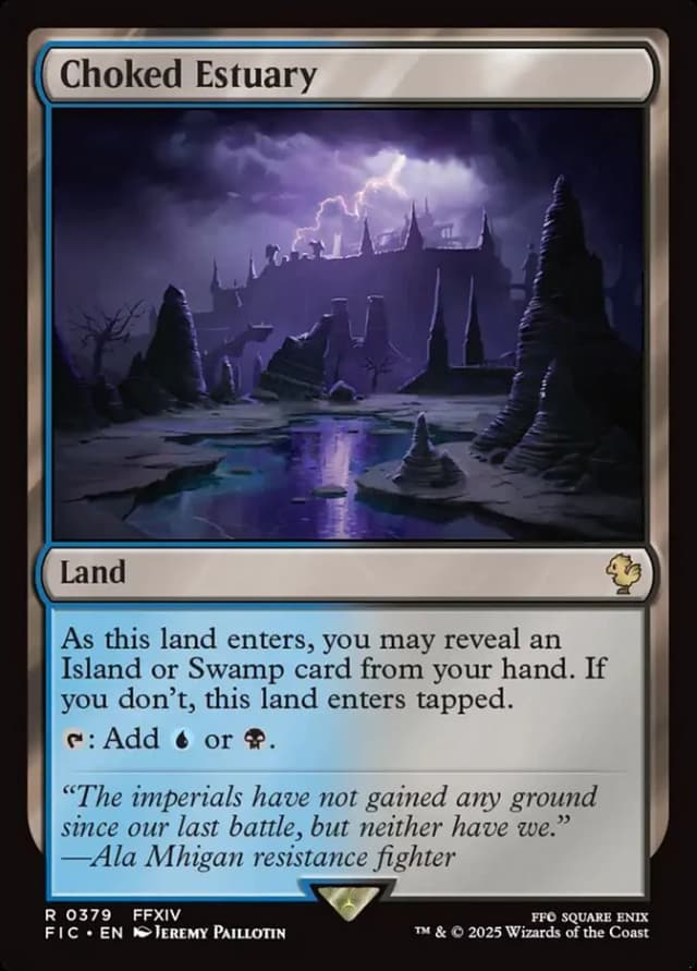 Choked Estuary image