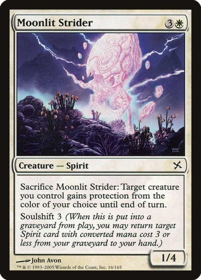 Moonlit Strider image