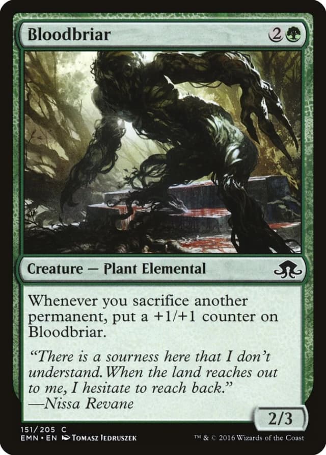 Bloodbriar image