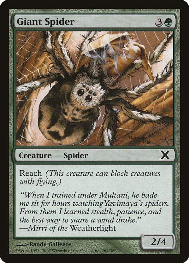 Giant Spider image