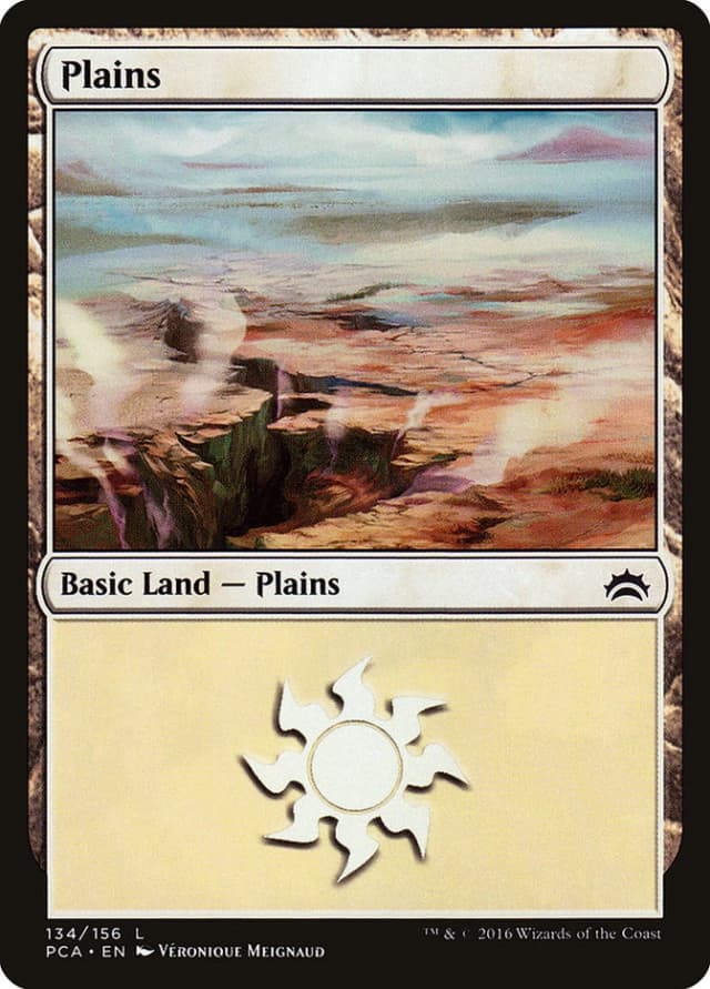 Plains image