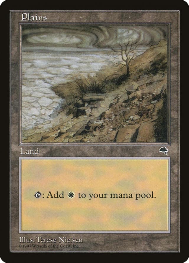 Plains image