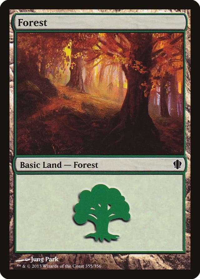 Forest image