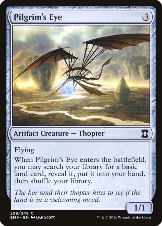 Pilgrim's Eye image