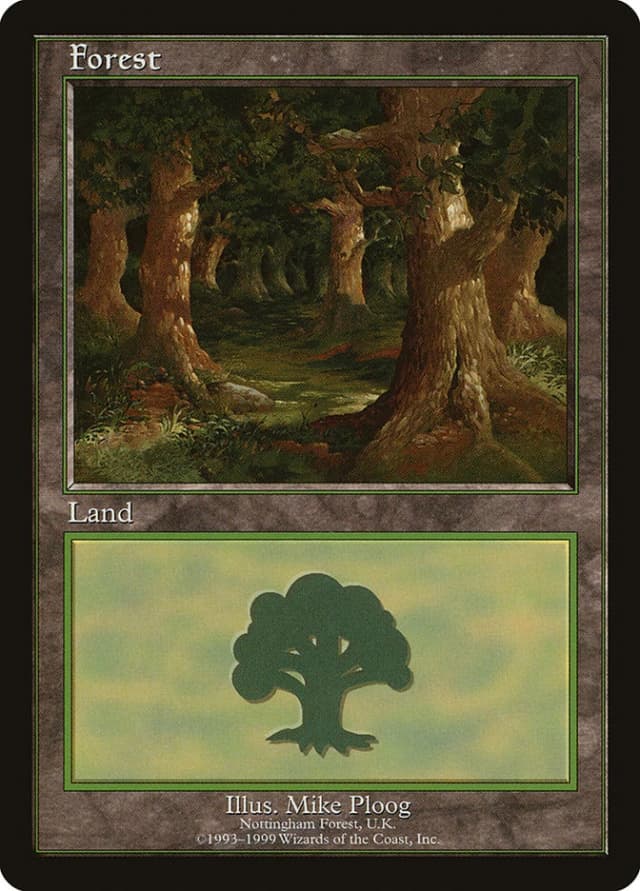 Forest image