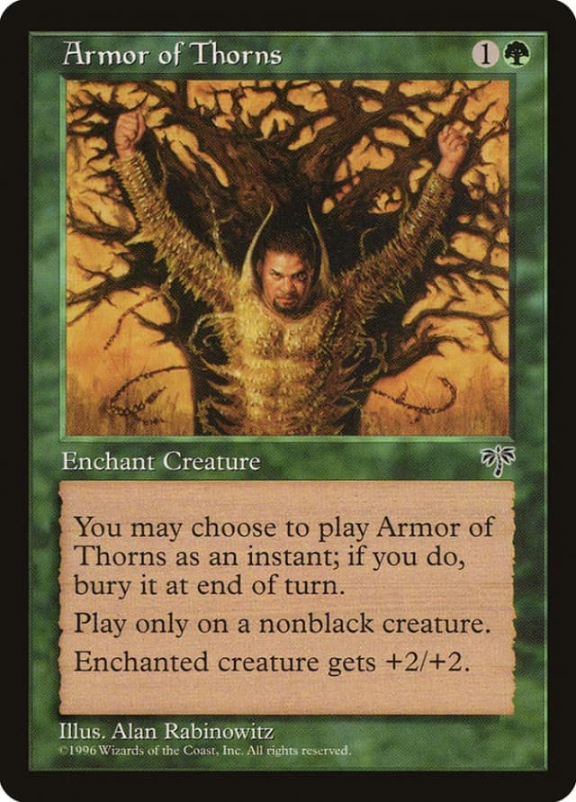 Armor of Thorns image