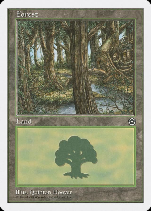 Forest image