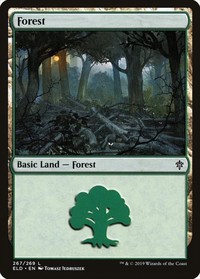 Forest image