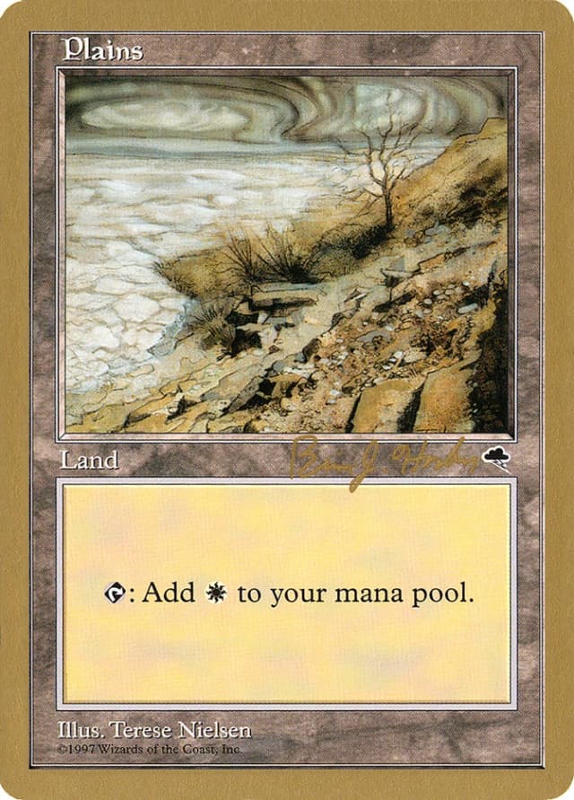 Plains image