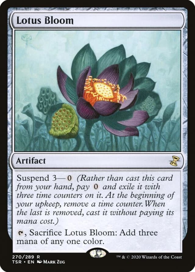 Lotus Bloom image