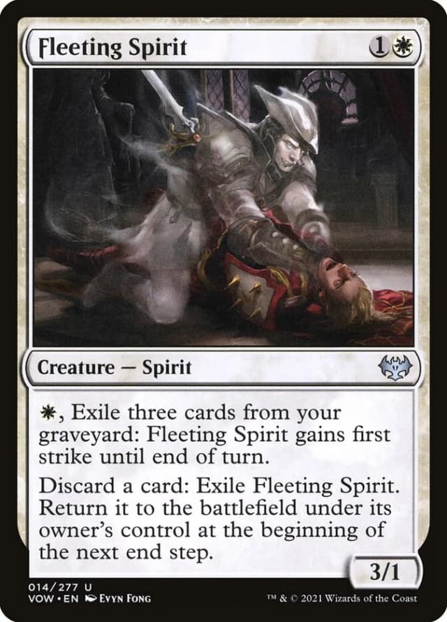 Fleeting Spirit image