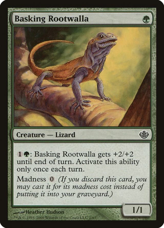 Basking Rootwalla image