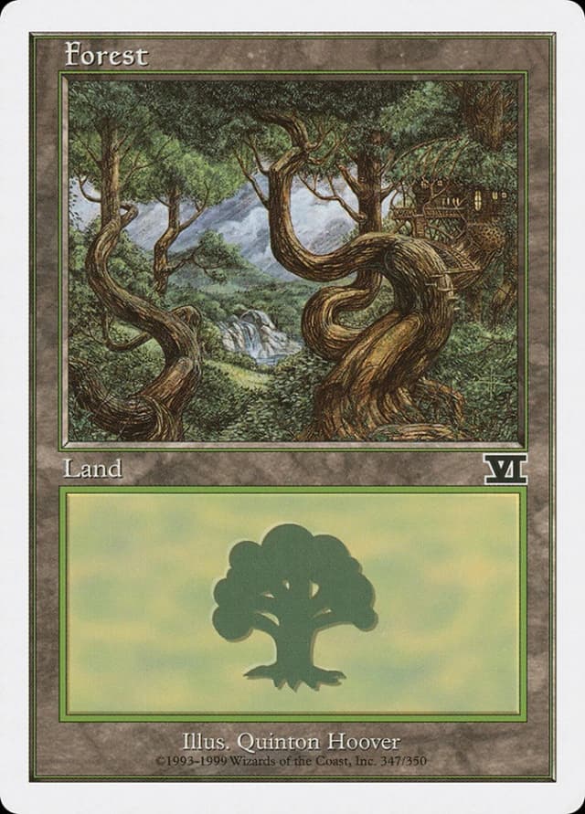Forest image
