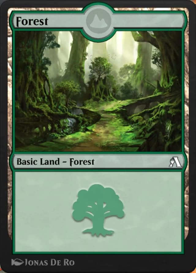 Forest image