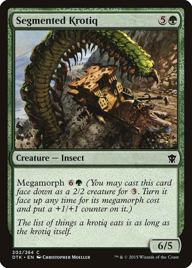 Segmented Krotiq image