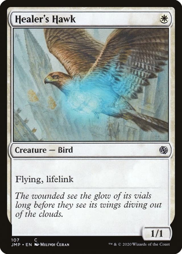 Healer's Hawk image