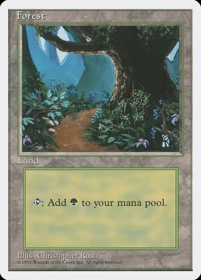 Forest image