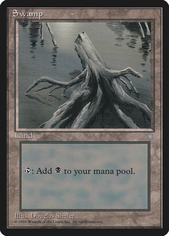 Swamp image