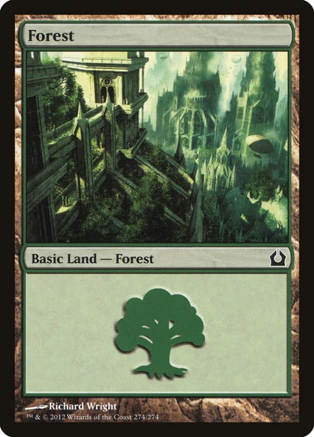 Forest image