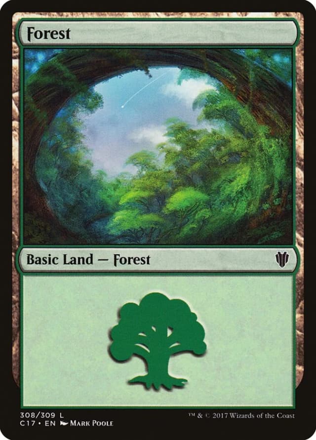 Forest image