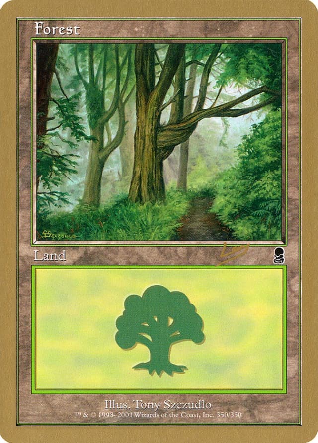 Forest image