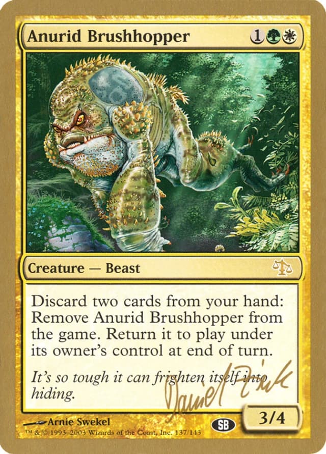 Anurid Brushhopper image