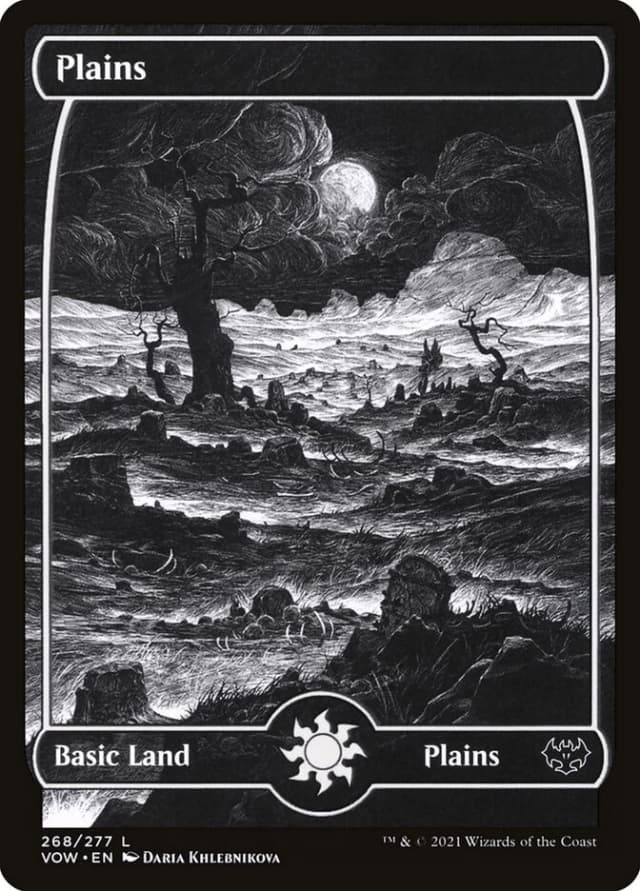 Plains image